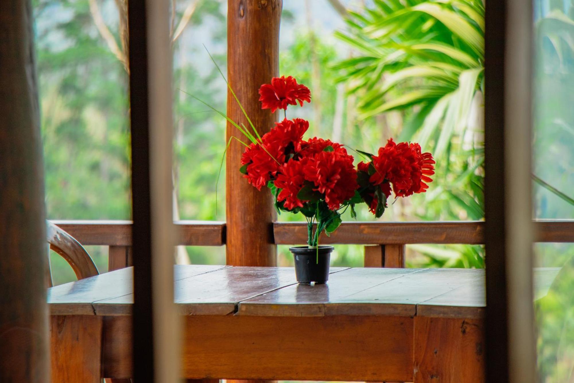 The Sunshine Ella Apartment Ngoại thất bức ảnh