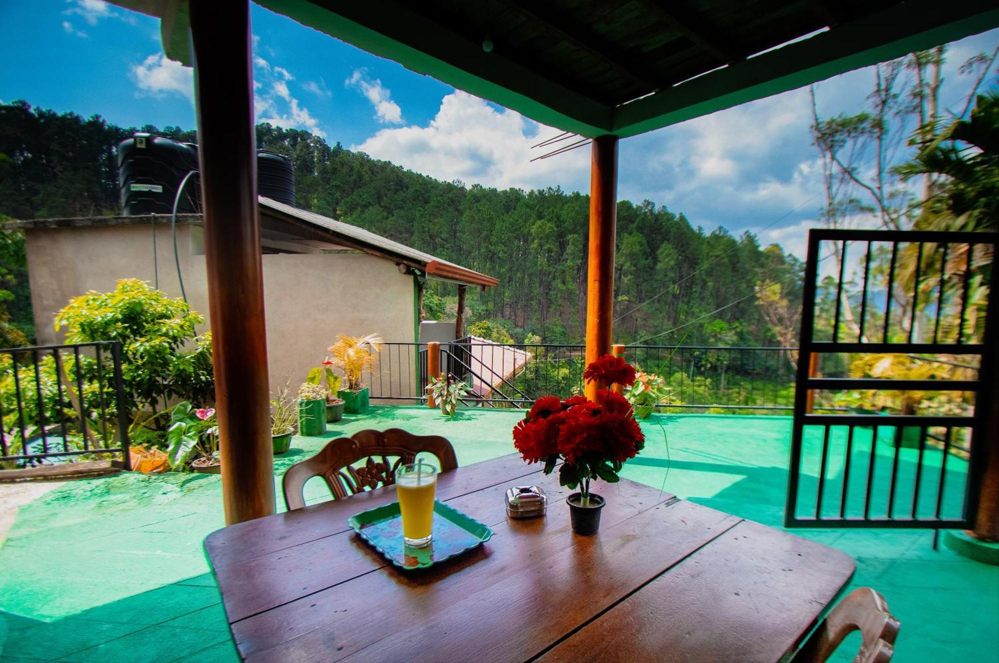 The Sunshine Ella Apartment Ngoại thất bức ảnh