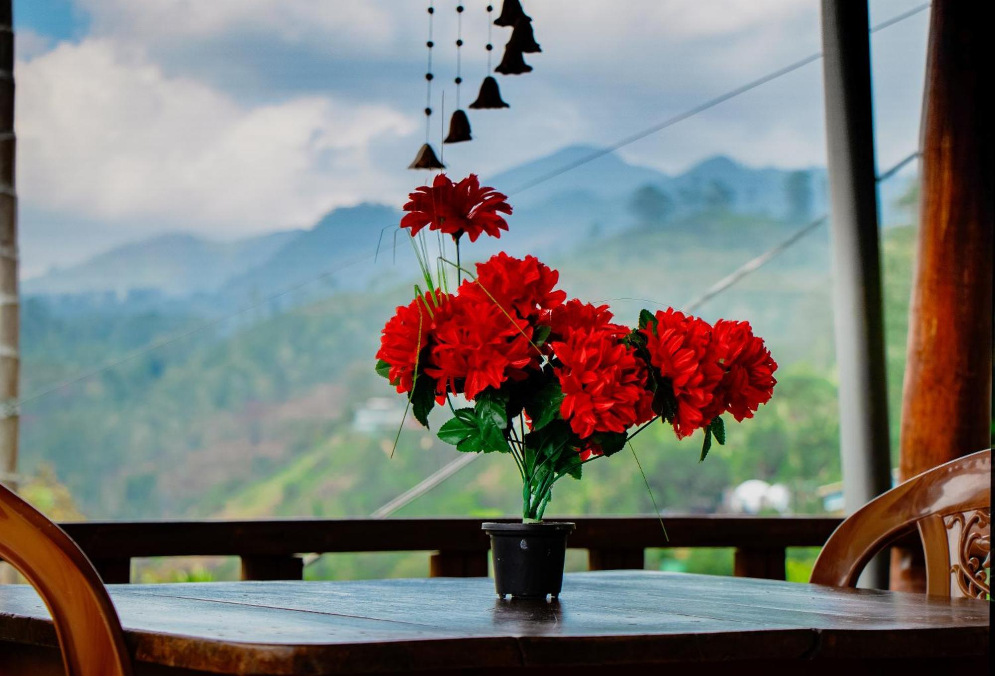 The Sunshine Ella Apartment Ngoại thất bức ảnh
